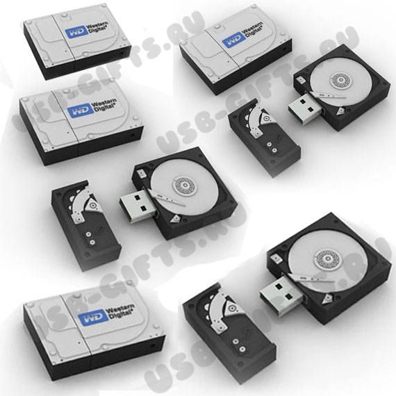 Флешки «Жесткий диск для компьютера» с логотипом usb флэш диск